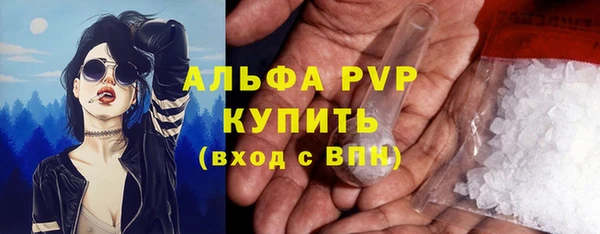 каннабис Новозыбков