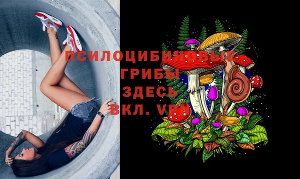 а пвп мука Новодвинск
