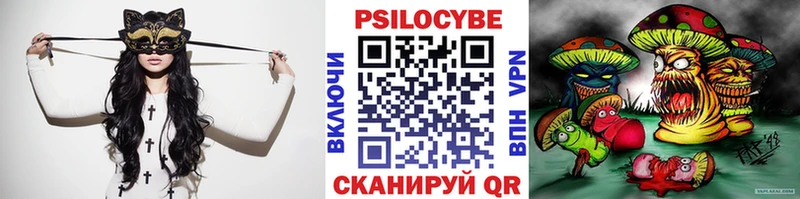 кракен как зайти Богданович Галлюциногенные грибы ЛСД