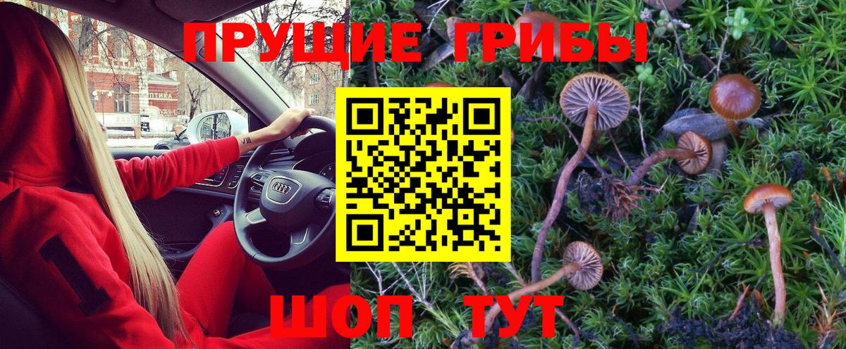 Псилоцибиновые грибы Magic Shrooms Богданович