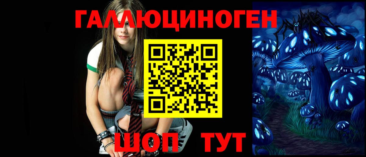 Псилоцибиновые грибы GOLDEN TEACHER  что такое наркотик  Богданович 