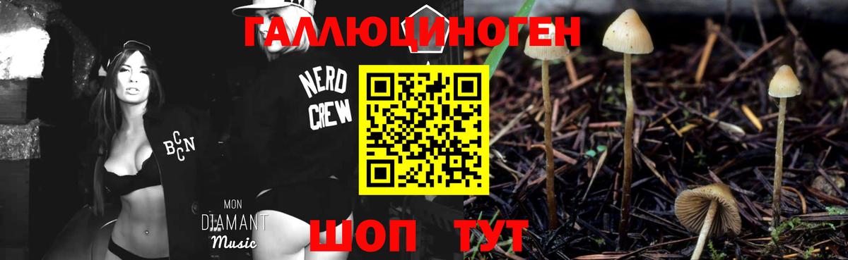 Псилоцибиновые грибы мухоморы Богданович